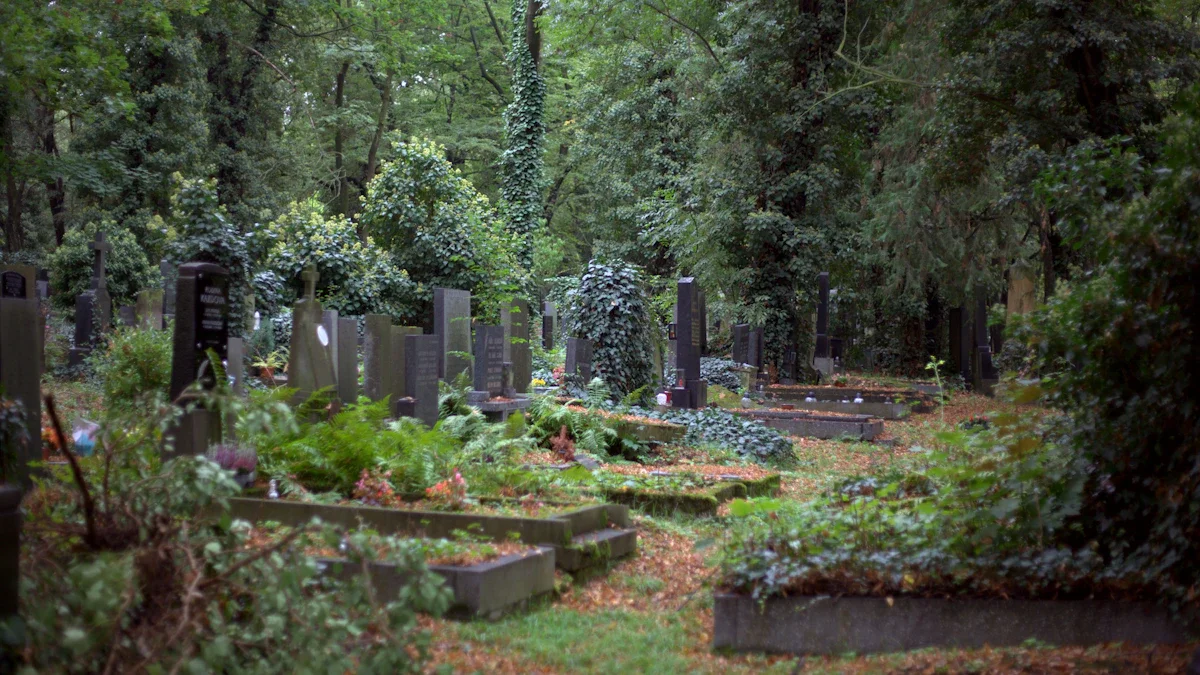 Un cimetière verdoyant où les tombes anciennes sont entourées d'une végétation luxuriante à Dijon.