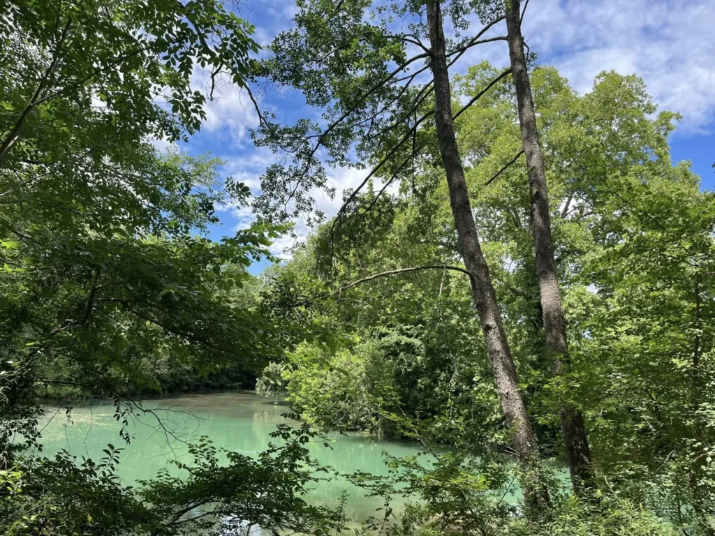 Rivière calme aux eaux vert émeraude bordée d'arbres verdoyants sous un ciel bleu clair.