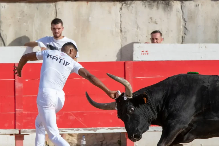 Lancement de la Feria à Nîmes : le guide complet de la première journée