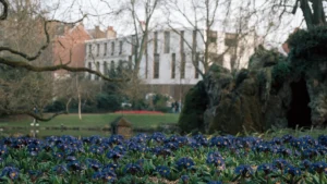 Un massif de fleurs bleues au premier plan d'un parc verdoyant à Lille en été.