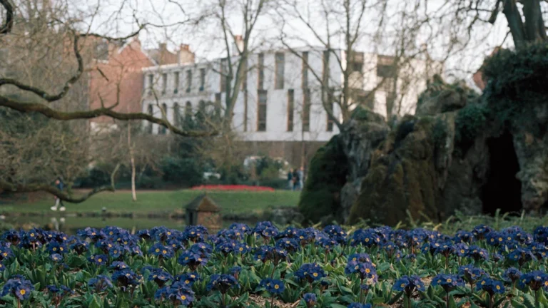 Un jardin fleuri avec des primevères bleues au premier plan dans un parc de Lille.