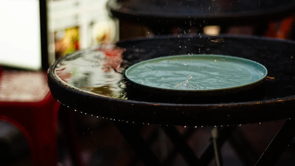 Une assiette plate remplie d'eau de pluie stagnante sur une table de jardin en fer forgé.
