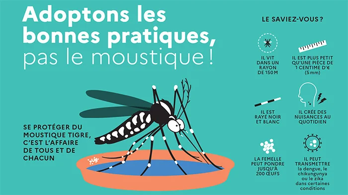Protéger Lyon du moustique tigre : les gestes essentiels chez vous