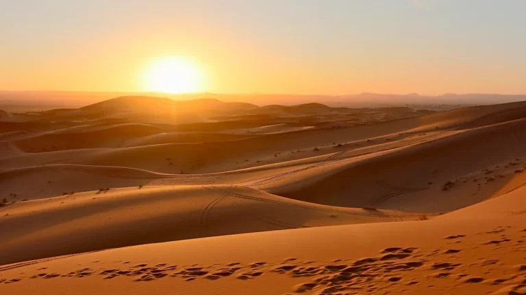 Vue panoramique de dunes de sable s'étendant à l'infini sous la lumière orangée du crépuscule.