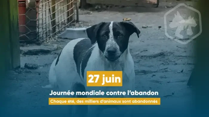 À Lyon, les vacances d’été se préparent aussi pour les animaux