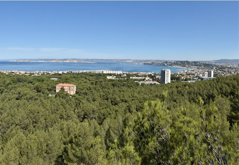 À Marseille, les massifs fermés face au risque incendie