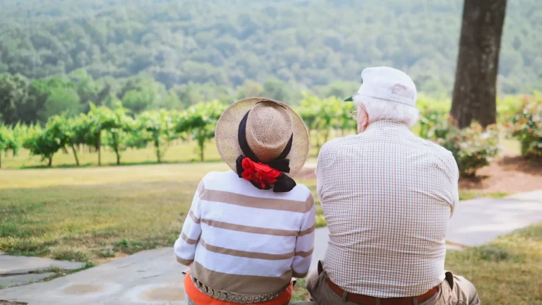 Un couple de seniors profitant d'une vue apaisante sur un domaine viticole en France.