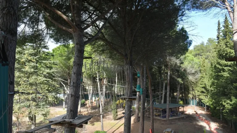 Parcours acrobatique en forêt avec des plates-formes en bois et des cordes entre arbres.