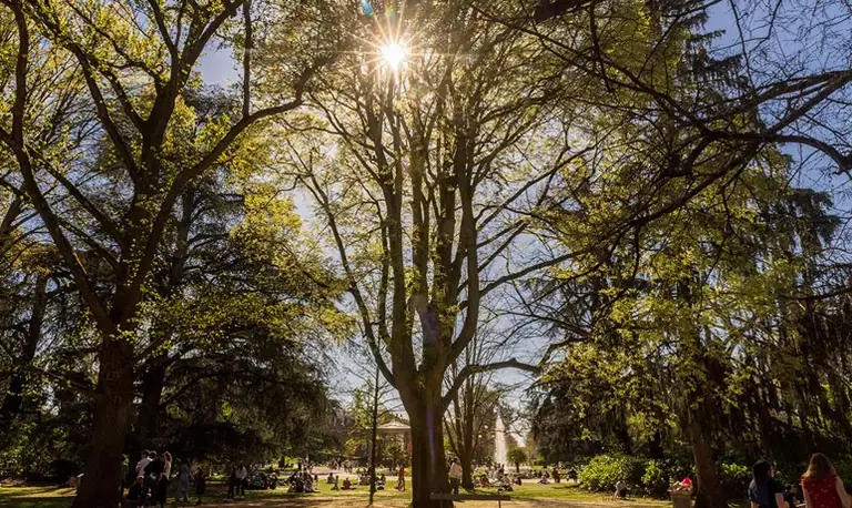 À Toulouse, le vent bouscule les sorties au parc