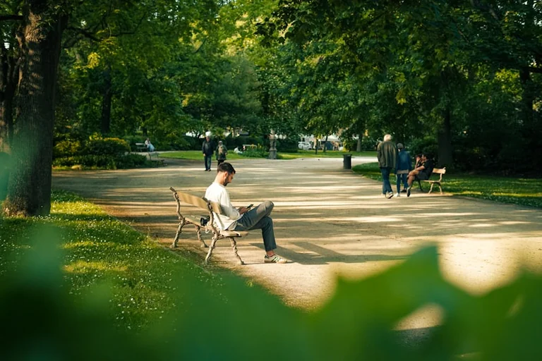 À Toulouse, le vent bouscule les sorties au parc