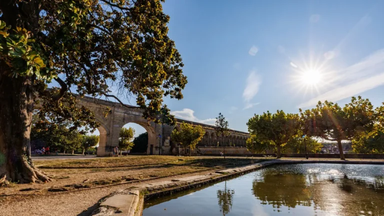 Chaleur à Montpellier : les réflexes qui protègent