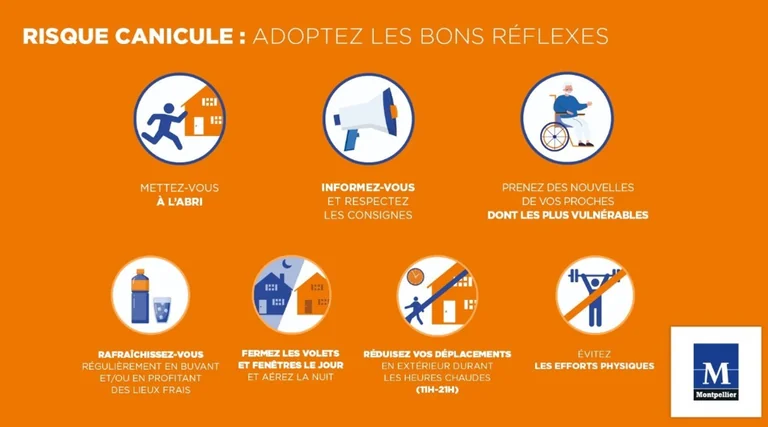 Chaleur à Montpellier : les réflexes qui protègent