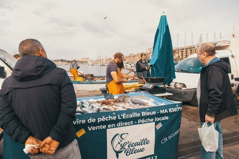 Marseille: le 3XFestival gratuit au Parc Chanot: les informations pratiques
