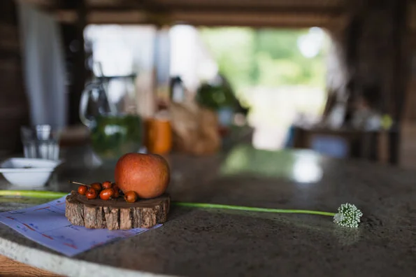 Près d’Orléans, un potager devient lieu de rencontres: les dates clés