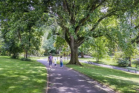À Angers, deux grands parcs attendent l’avis des habitants: les dates clés