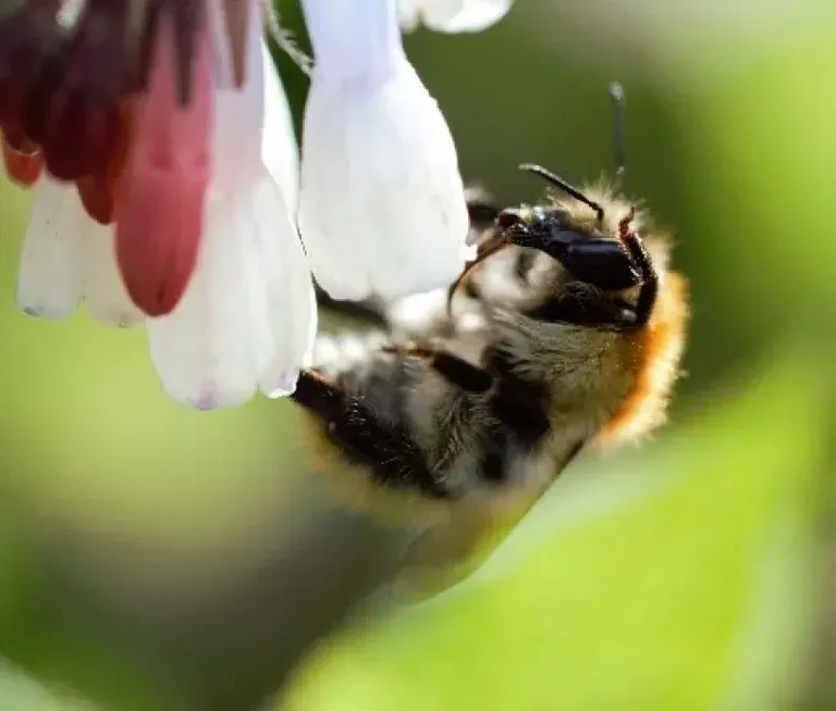 À Brest, les habitants ont choisi leur cliché nature