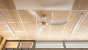 Un ventilateur de plafond blanc en mouvement sous un plafond en panneaux de bois.