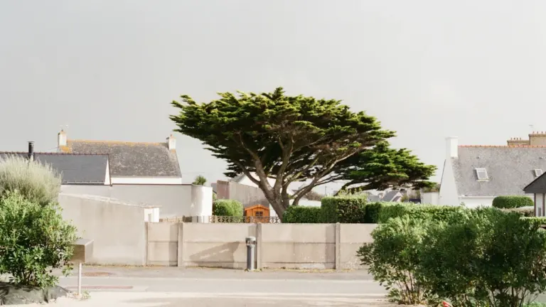 « Auprès de mon arbre » gratuit à Fontenay-aux-Roses: les dates clés