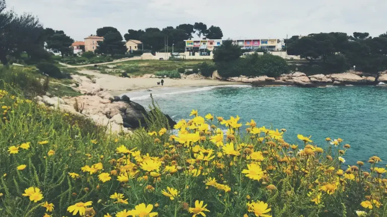 Bel été à Saint-Denis : sept semaines gratuites à explorer