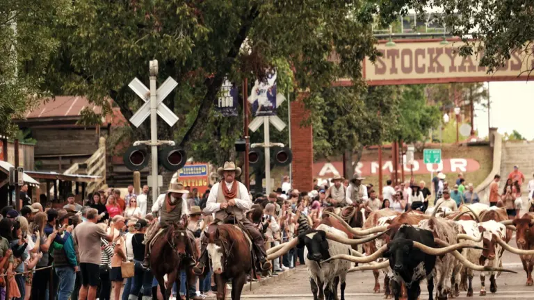 Ermont : une journée Far West gratuite au parc le 22 juillet