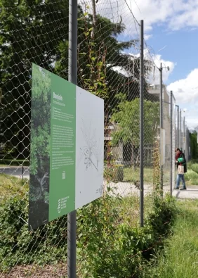 Ex(s)istere à Saint-Étienne : 14 plantes en accès libre: chronostand.fr