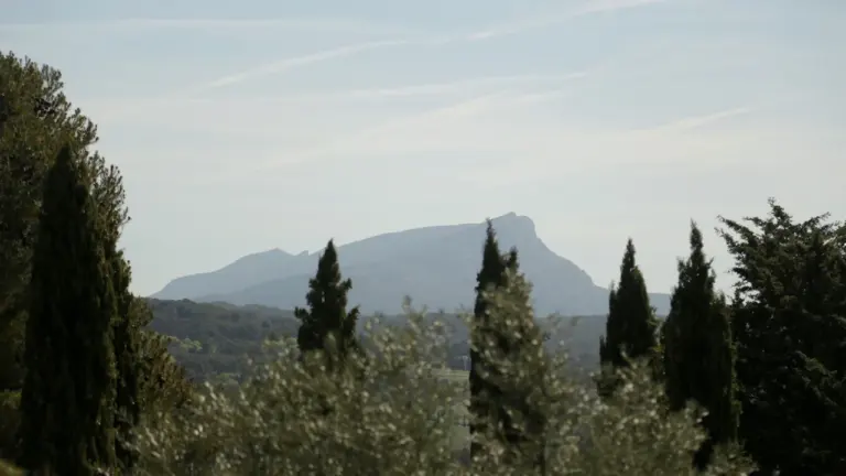 À Aix, la Course des Vendanges revient avec trois parcours