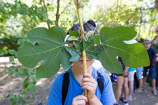 À Angers, sept jours d’idées pour sortir en famille