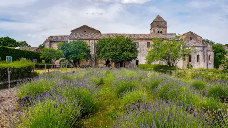 À Caen, les petits secrets de l’abbaye chaque mercredi