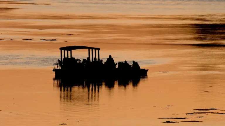Balade en bateau sur la Loire à Orléans : dès 4 €