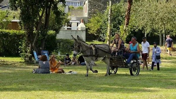 Cherbourg : la Fête des ânes, une journée familiale gratuite