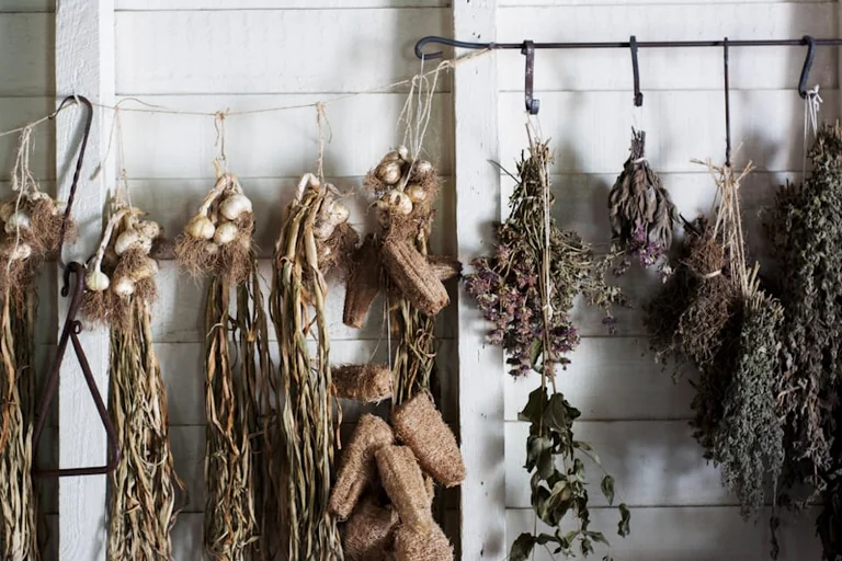 Grand Quevilly : atelier gratuit « Zoom sur les aromates »