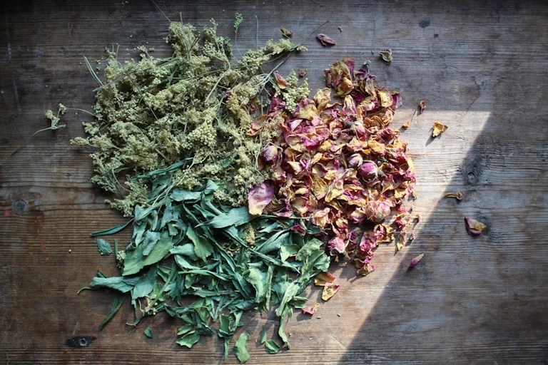 Grand Quevilly : atelier gratuit « Zoom sur les aromates »