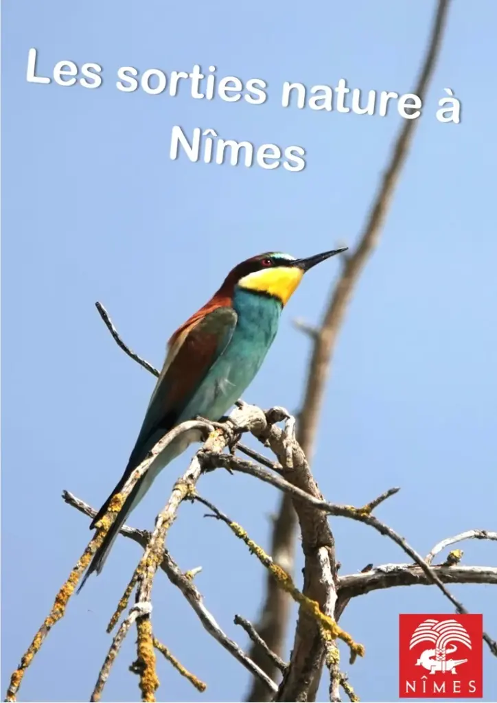 Le Réveil des oiseaux à Nîmes : sortie gratuite le 23 août
