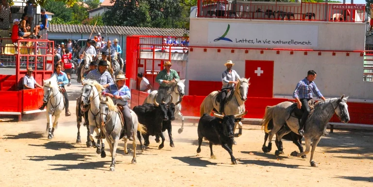 Montpellier : deux fêtes votives vont animer la semaine