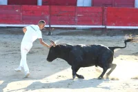 Montpellier : deux fêtes votives vont animer la semaine