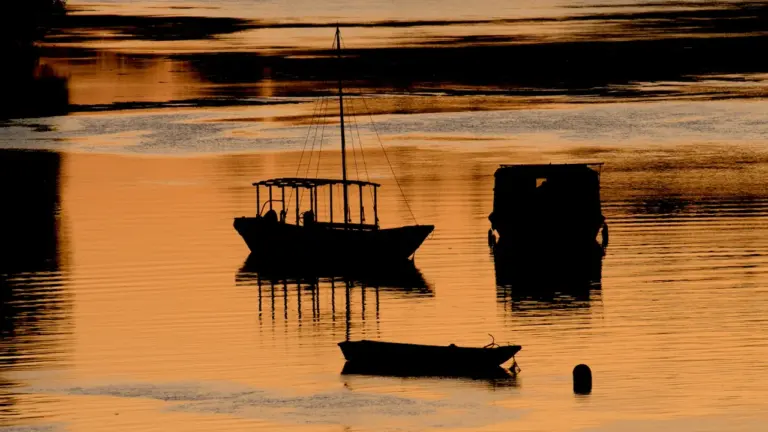 Une escapade sur la Loire : découvrez Orléans en toue sablière