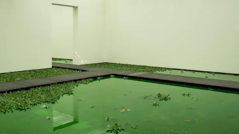 Un bassin d'eau calme entouré de passerelles dans un espace architectural moderne minimaliste.