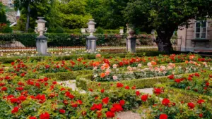 Jardin paysager avec de nombreuses roses rouges et des urnes décoratives en pierre