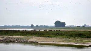Sécheresse en Indre-et-Loire : ce qui change pour l’eau dès dimanche